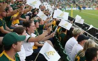 wallaroos - home page image